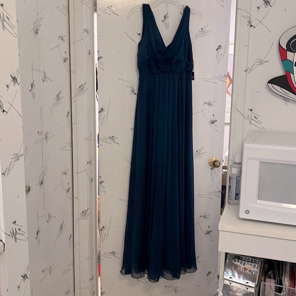Adrianna Papell Ocassions Chiffon Evening Gown (NEW)